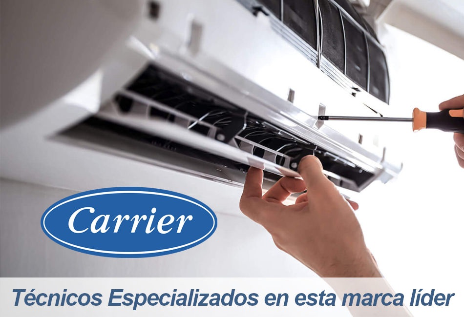Carrier Servicio Técnico