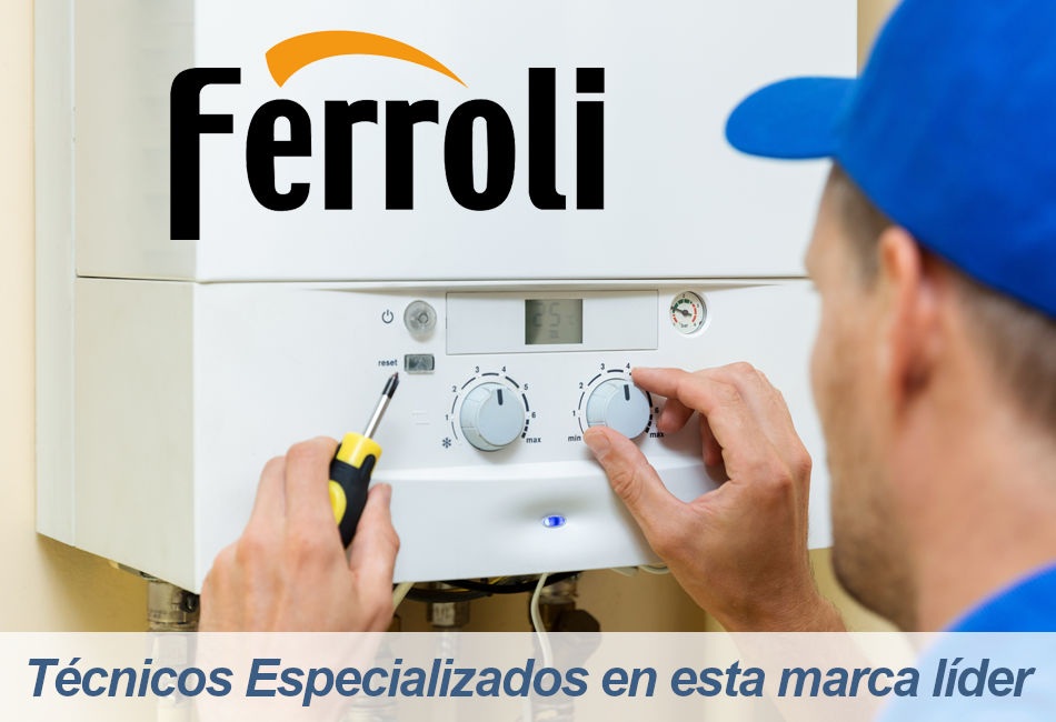 Ferroli Servicio Técnico