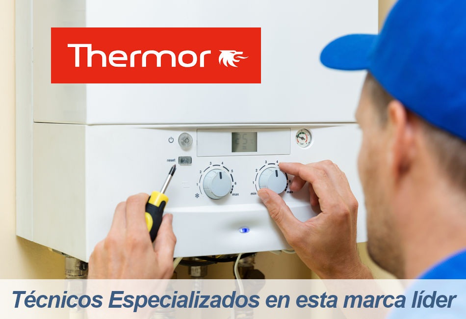 Thermor Servicio Técnico