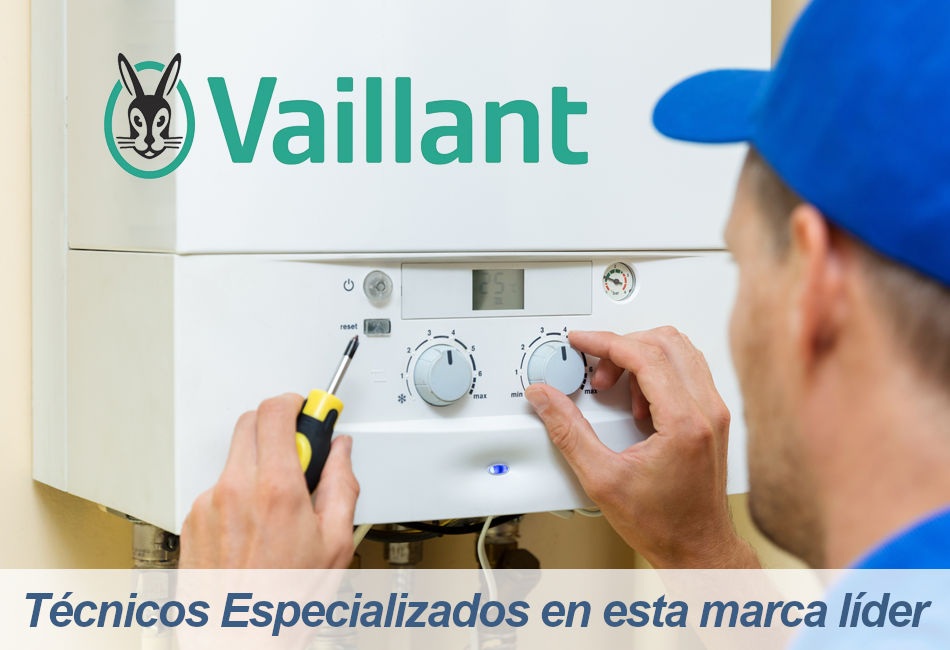 Vaillant Servicio Técnico